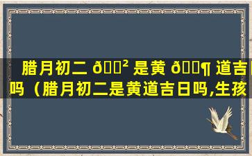 腊月初二 🌲 是黄 🐶 道吉日吗（腊月初二是黄道吉日吗,生孩子好吗）